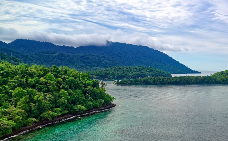 文化和旅游部部长孙业礼：推动文化旅游业成为支柱产业 促进高质量发展