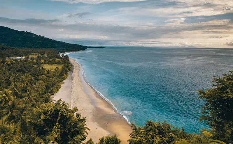 文化和旅游部部长孙业礼：推动文化旅游业成为支柱产业 促进高质量发展