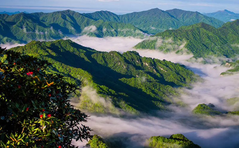 四川出台三年行动方案促进入境旅游高质量发展
