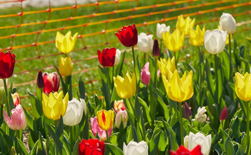 北京打造国际交往新高地 助力成为中国入境旅游首选地