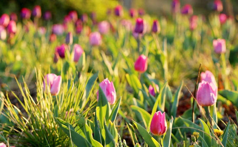 山西文旅系统锚定“文旅强省”目标 全力推动产业提质增效