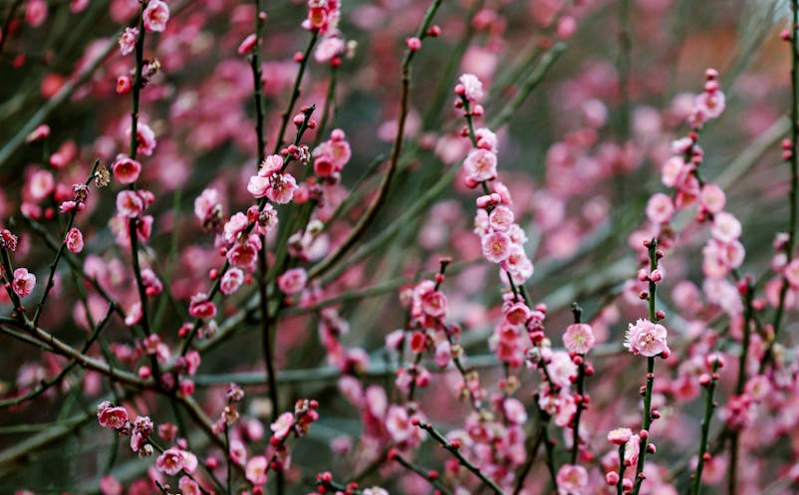 科技与旅游共舞，晋中文旅推介活动在杭州引发热议