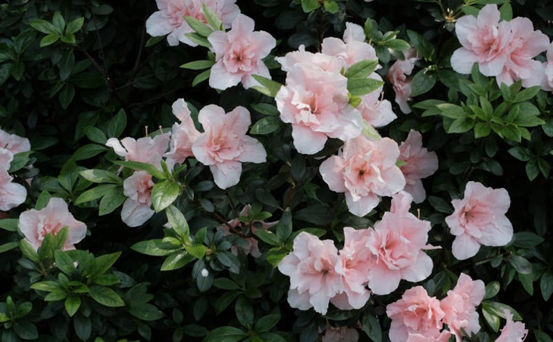 吉林省乡村旅游能力提升培训班在长春开班