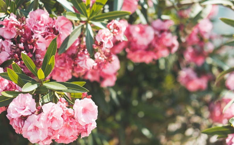 闽黔两省开启跨区域文旅市场执法协作新机制