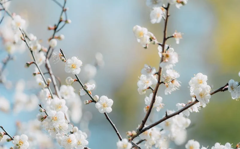 琅琊区研学旅游全域联动助力文旅产业升级 