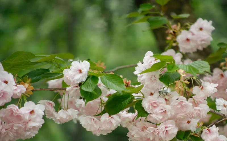 ai助力海南智慧文旅建设 助力打造个性化旅游体验