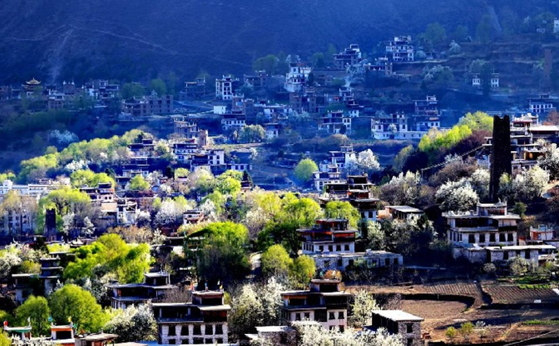 丹巴县推动四季文旅营销模式，春赏花季启幕激活乡村振兴新篇章