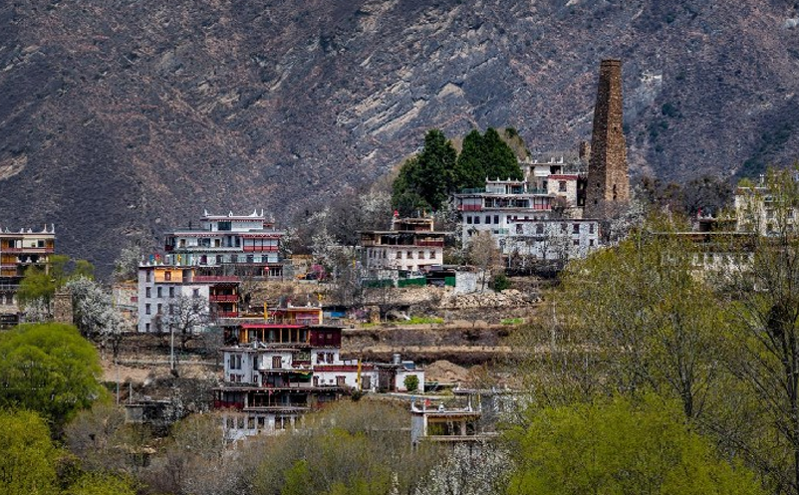 丹巴县推动四季文旅营销模式，春赏花季启幕激活乡村振兴新篇章