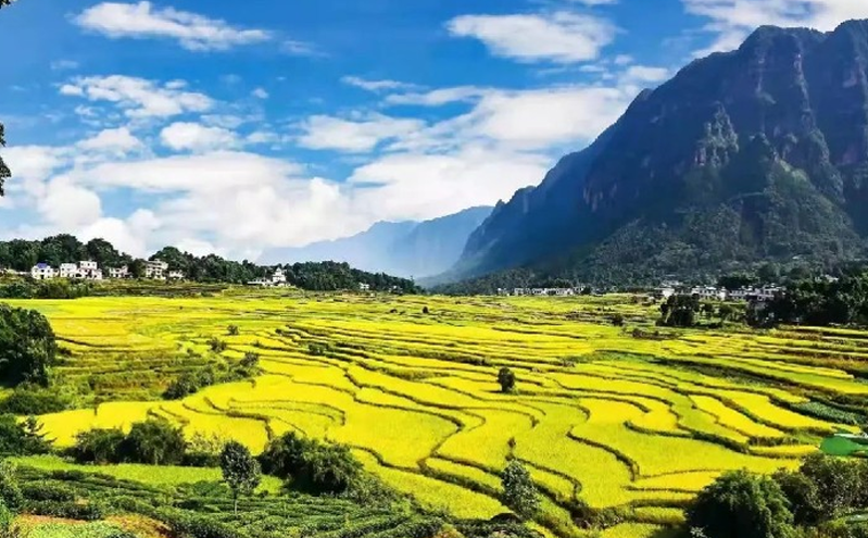 泸州借第二十二届中国国际酒业博览会 打响文旅融合新品牌