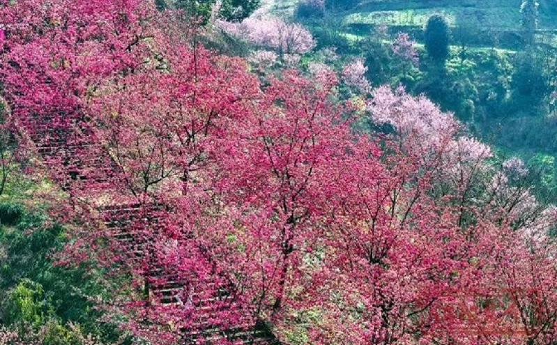 泸州借第二十二届中国国际酒业博览会 打响文旅融合新品牌