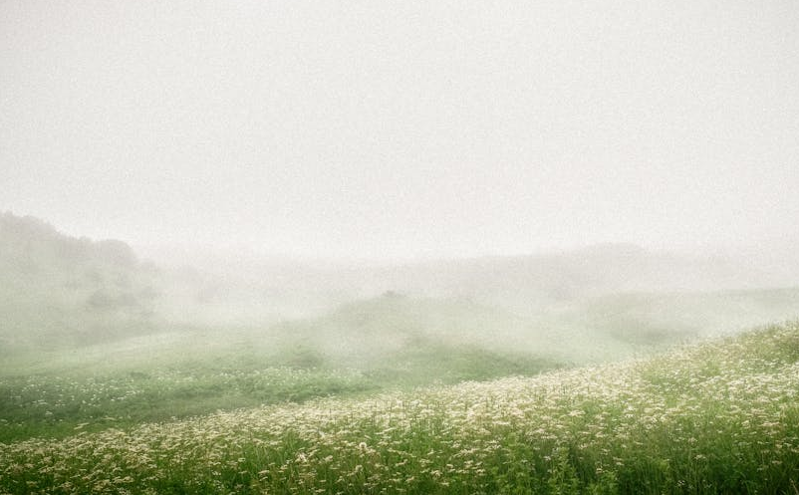 河北春游市场焕新升级：“文旅 ”激发消费新活力