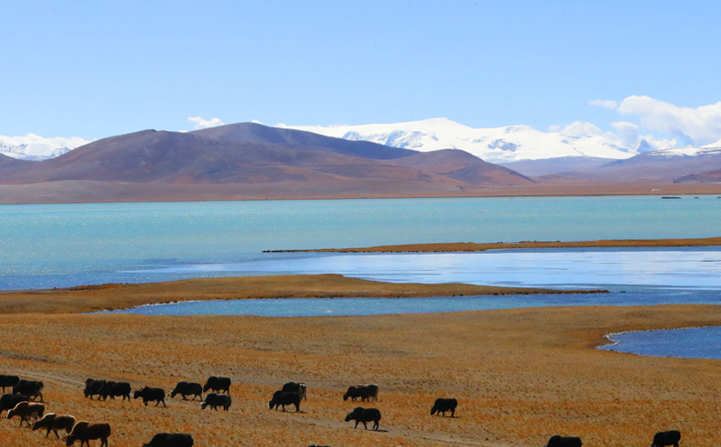 西藏启动“本地游”消费补贴活动 提供多项优惠助力文旅消费