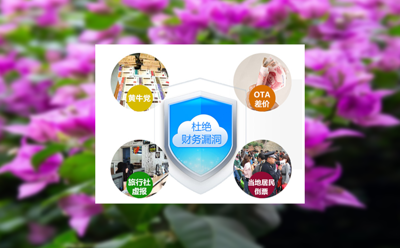 景区售票管理软件：支持多窗口同步售票，避免冲突