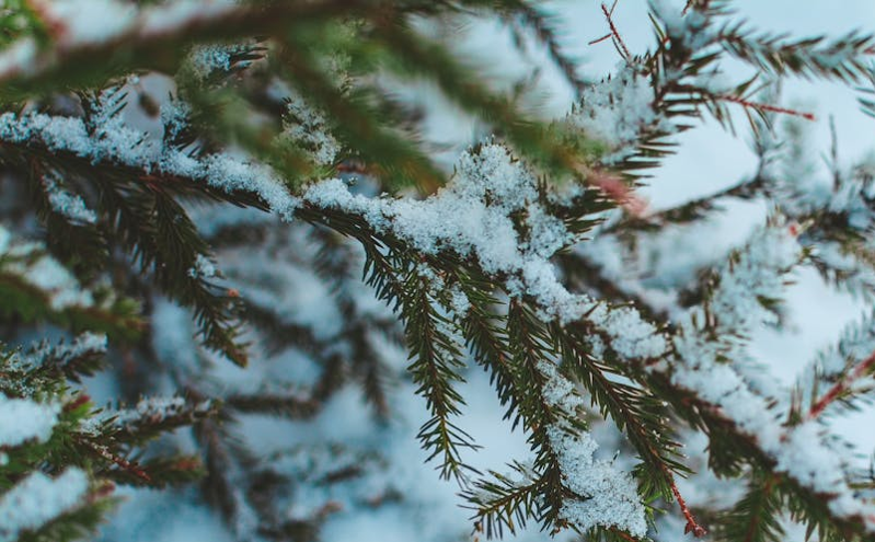 “津宴之旅”20条旅游直通车线路正式发布 京津冀文旅融合再添新动力