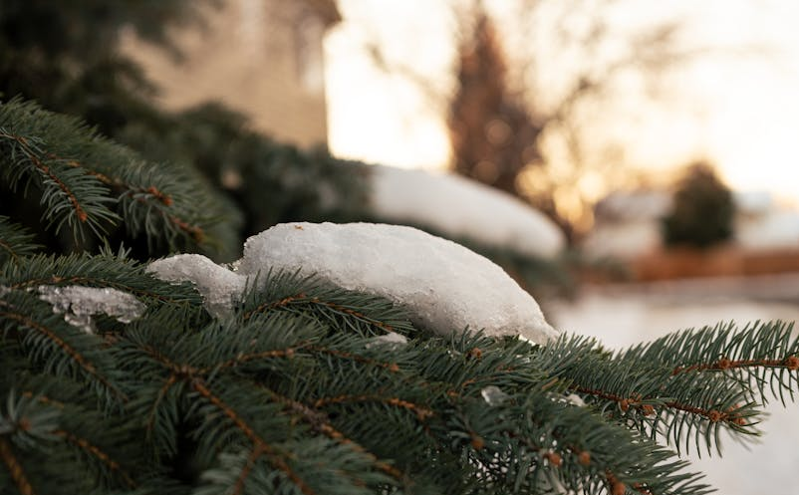 第三届五大道旅游论坛在和平区成功举办 聚焦都市旅游高质量发展