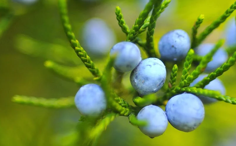 春意盎然，大同推出2025年十大精品旅游线路，邀您共享春日美景