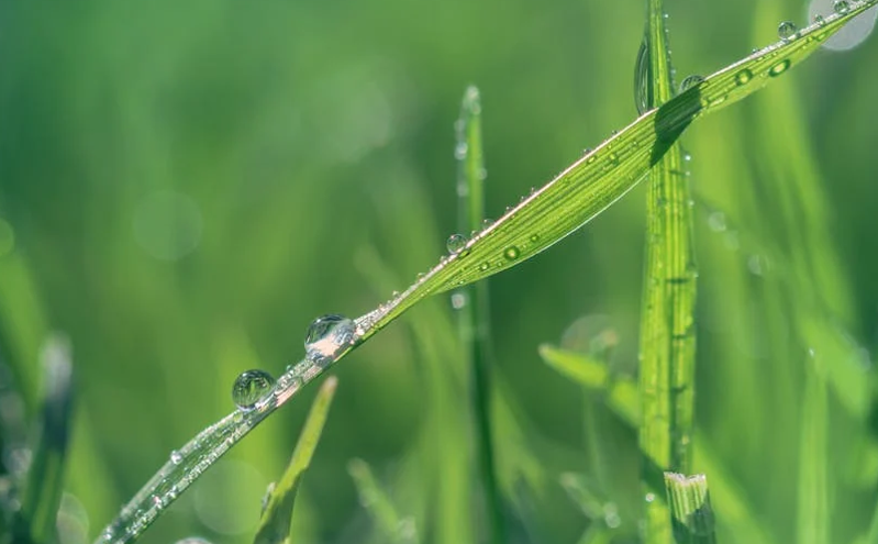 春意盎然，大同推出2025年十大精品旅游线路，邀您共享春日美景