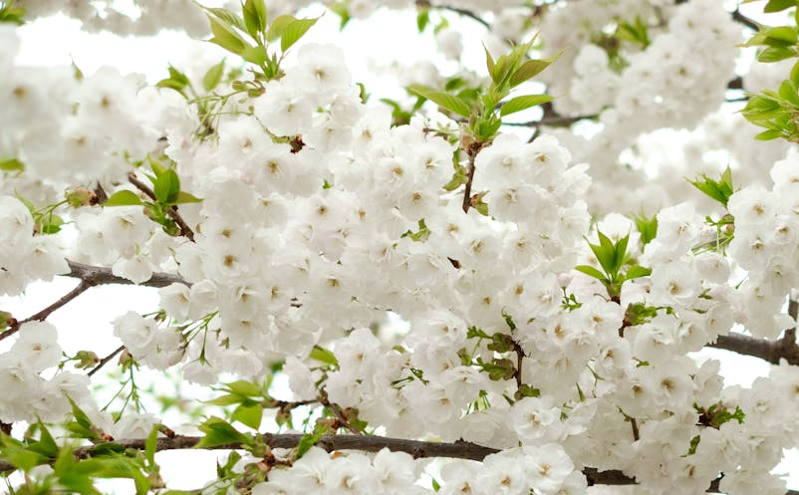 安徽省发布《培育新业态新场景提振文化和旅游消费十条举措》 全力促进文旅消费增长