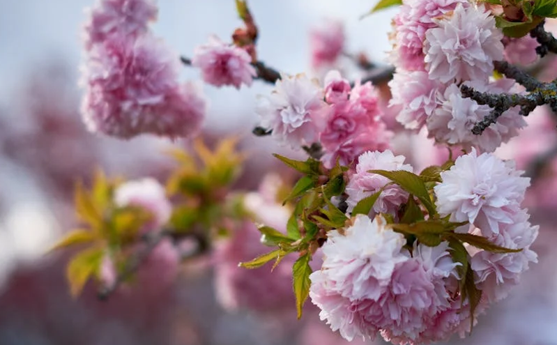 国务院发布《提振消费专项行动方案》 重点推动文体旅游消费升级