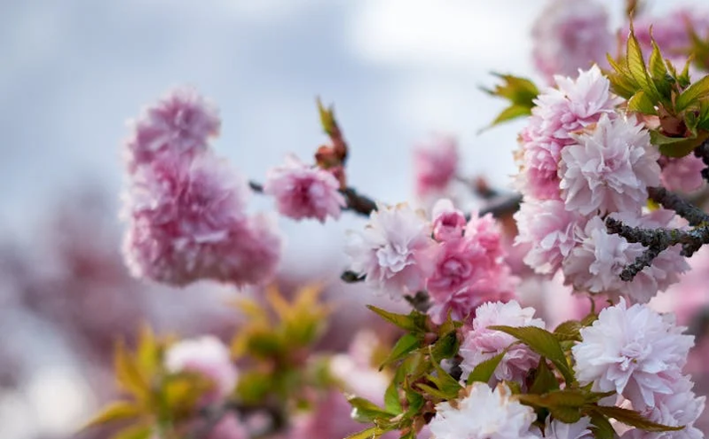 忻州市启动旅游市场集中整治行动 提升服务质量保障游客权益