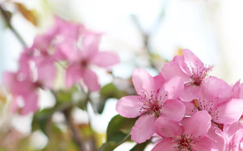 大同市平城区打造“区域消费中心” 推动文旅与商贸深度融合