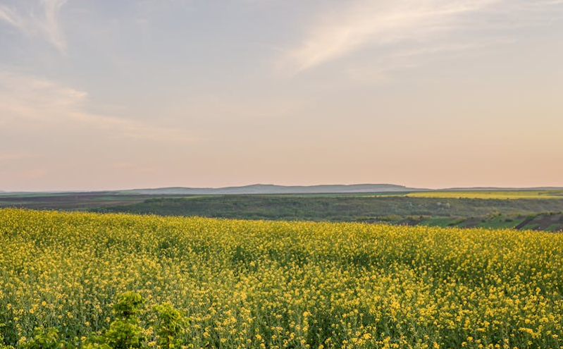 延边春季旅游迎来高峰，文旅融合助力边疆魅力绽放