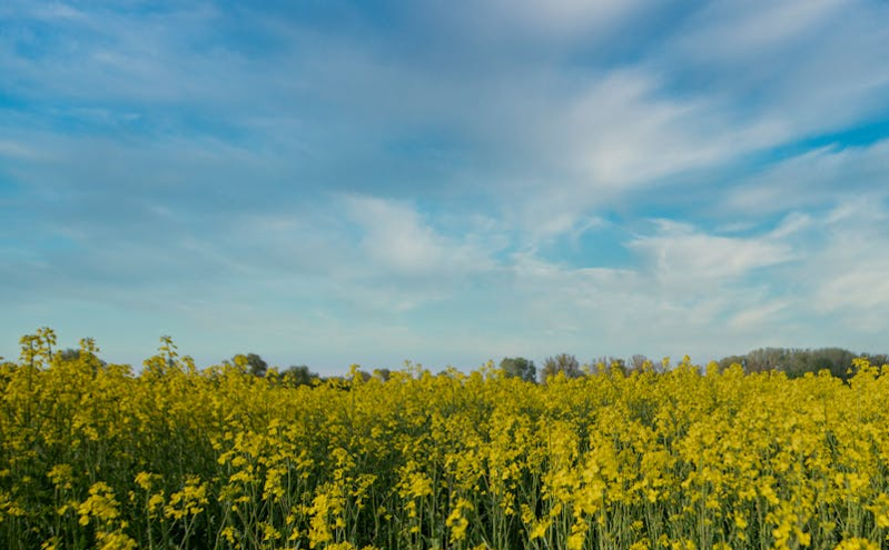 延边春季旅游迎来高峰，文旅融合助力边疆魅力绽放