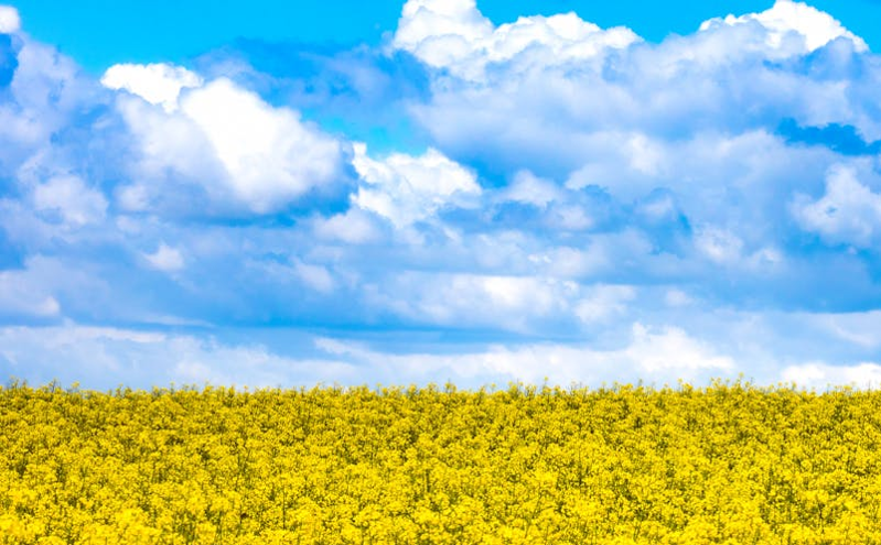 湖北省春季“村晚”系列活动在巴东县土店子村启动 助推乡村“赏花经济”融合发展