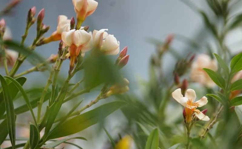 山西省文旅厅召开座谈会 整治导游乱象 强化服务质量