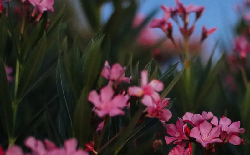 山西省文旅厅召开座谈会 整治导游乱象 强化服务质量