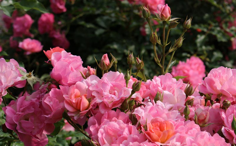 湖州发布8条银发旅游线路 助力银发经济高质量发展