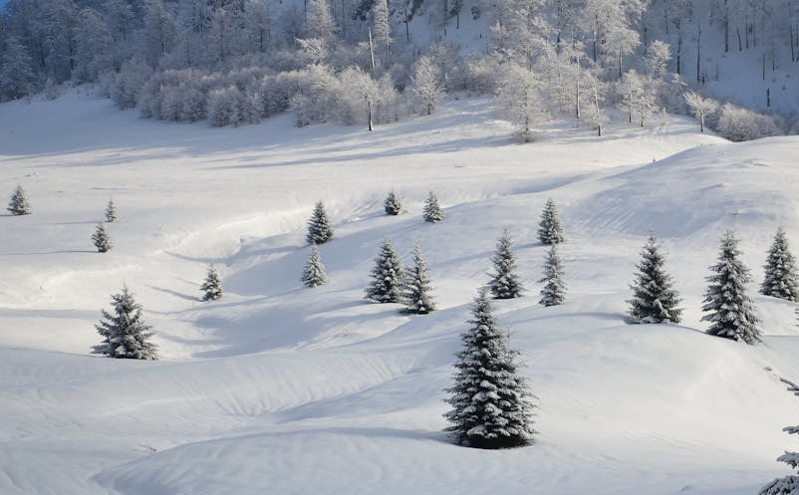 松原聚焦春夏旅游季 打造“生态之城”文旅新高地