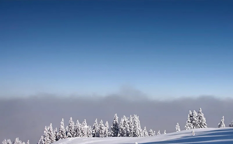 2025山东省文旅产业高质量发展大会在德州盛大启幕