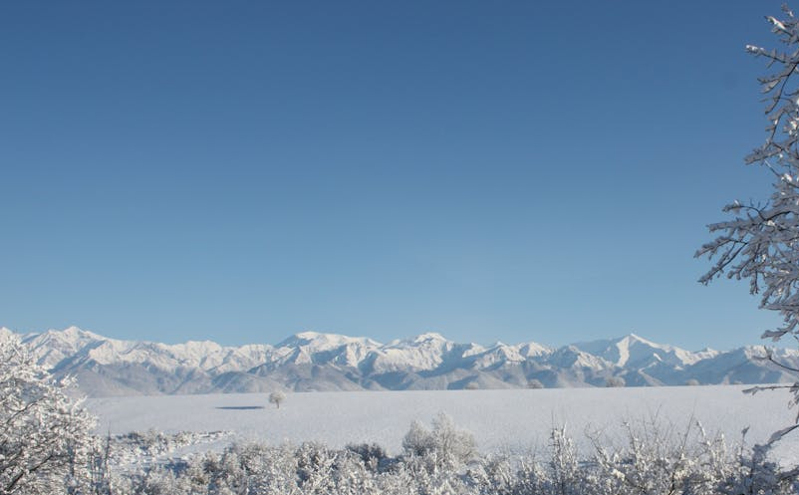 2025山东省文旅产业高质量发展大会在德州盛大启幕