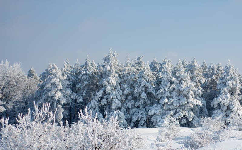 海南发放1000万元“机票 酒店”组合消费券 鼓励五六月份来琼旅游