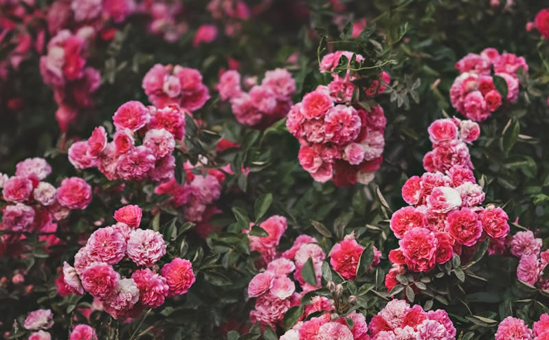 敦化市多维发力铸牢中华民族共同体意识 推动文旅融合高质量发展