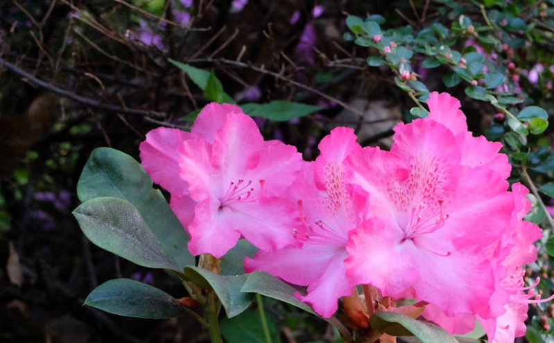 敦化市多维发力铸牢中华民族共同体意识 推动文旅融合高质量发展