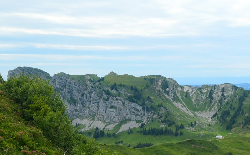 新疆召开旅游服务质量提升行动动员部署会，推动全域旅游高质量发展