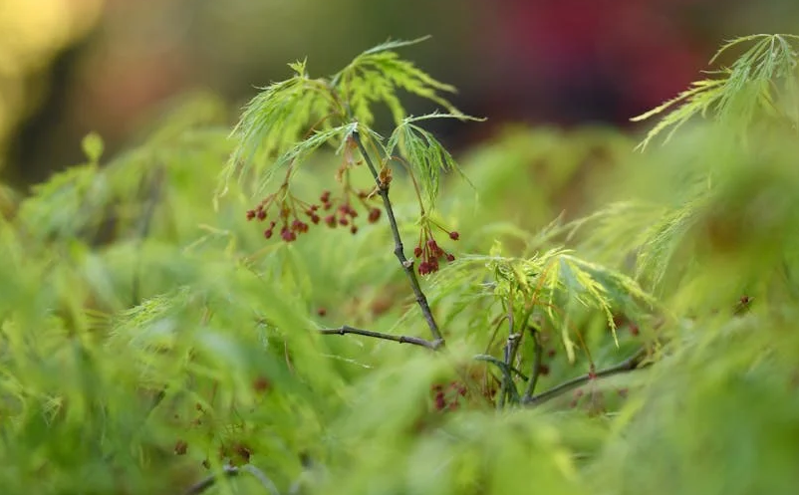 天津市开展“五一”假期旅游市场安全专项检查，保障游客权益