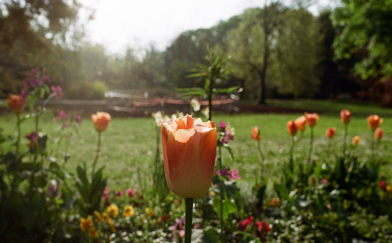 天津东丽区文化传承创新融合 打造“津派文化”新名片