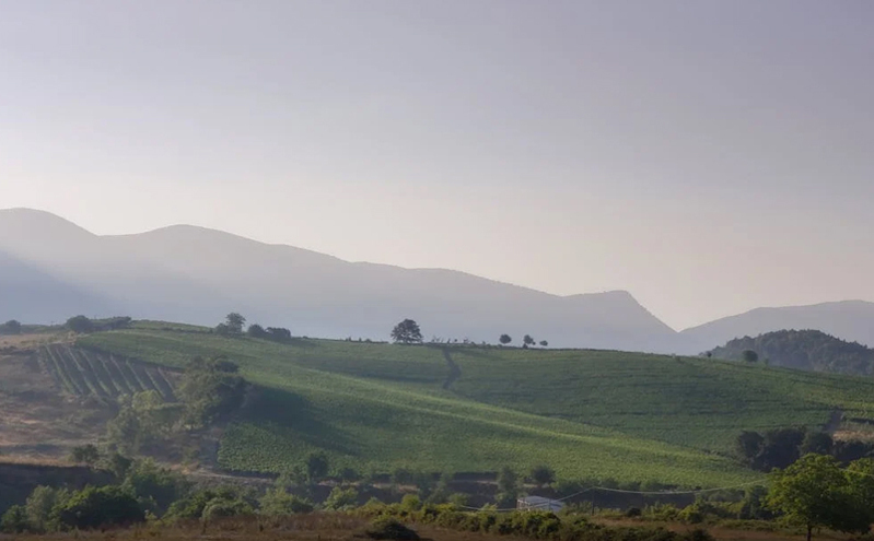 天津蓟州区“科技赋能”文旅产业提质升级 推出创新文旅项目吸引游客