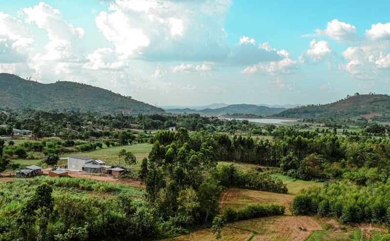 第四届西红柿丰收节即将盛大开幕，李大人庄村文旅融合新体验吸引游客