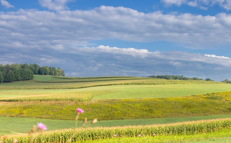 第二届延边州旅游新玩法打造计划启动 打造全域全季旅游新格局