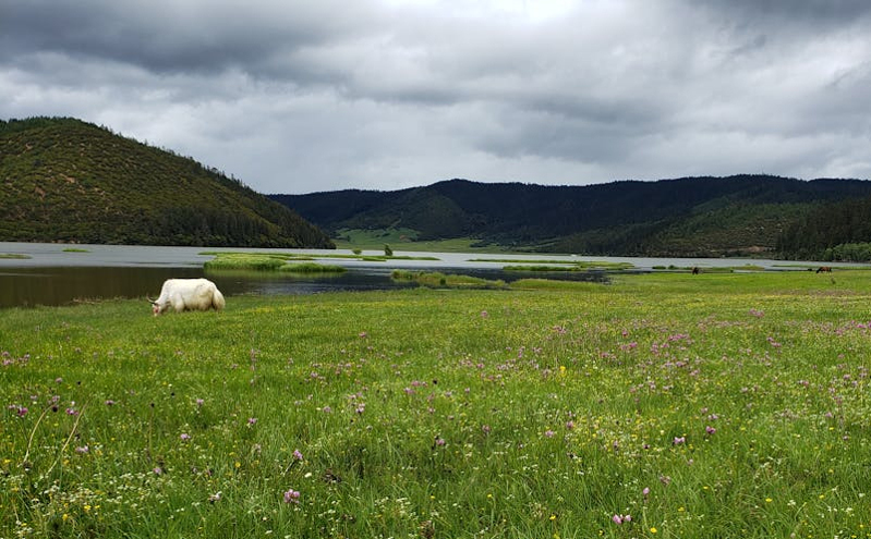 第二届延边州旅游新玩法打造计划启动 打造全域全季旅游新格局