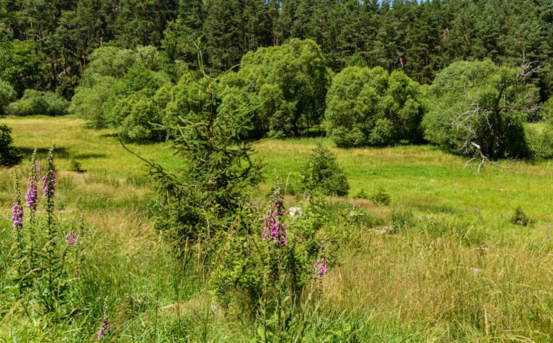 江苏省发布《“品质江苏”建设行动方案》 助力文旅高质量发展迈向新征程