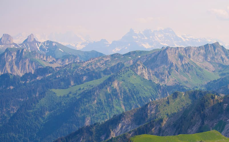 安徽省文化和旅游厅举办党建品牌创建交流会 助推厅系统党建工作提质增效